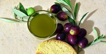 Le fasi di produzione dell'Olio