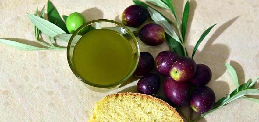 Le fasi di produzione dell'Olio